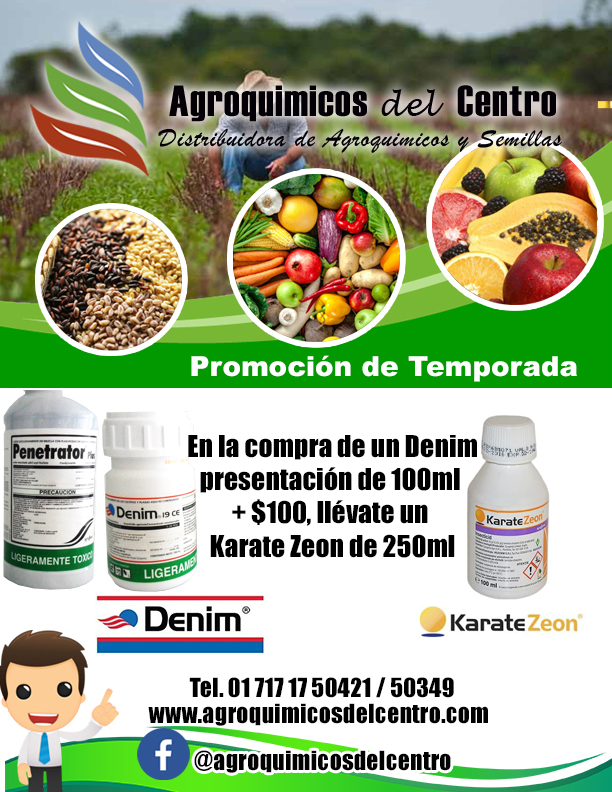 promo temporada