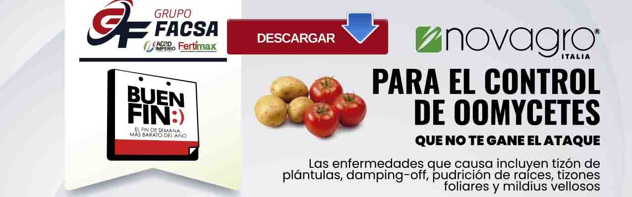 BOLETIN BUEN FIN NOVIEMBRE